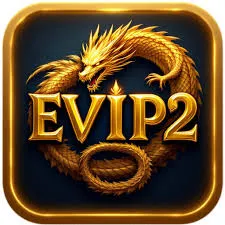 Ikon EVIP2