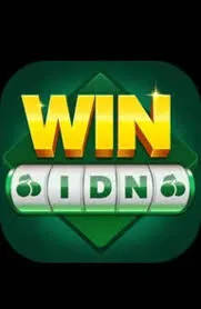 Ikon WINIDN 